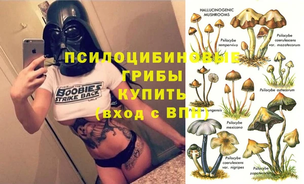 марихуана Гусиноозёрск