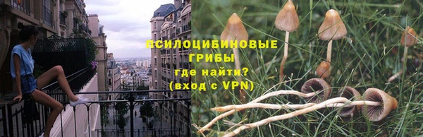марихуана Гусиноозёрск