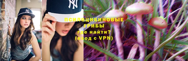 марихуана Гусиноозёрск