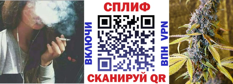 Бошки Шишки планчик  что такое   Дудинка 